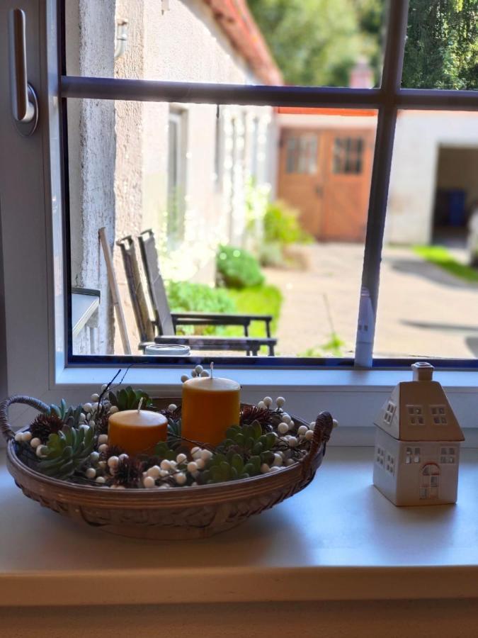 Theodor Apartment
